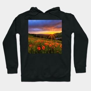 Beautiful landscap flowers and sunset Hoodie